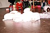 IMG_0328