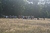 IMG_2023