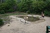 IMG_7074