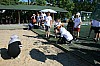 IMG_8476