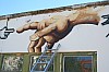 IMG_8640