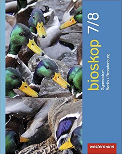 Klassen 7 und 8